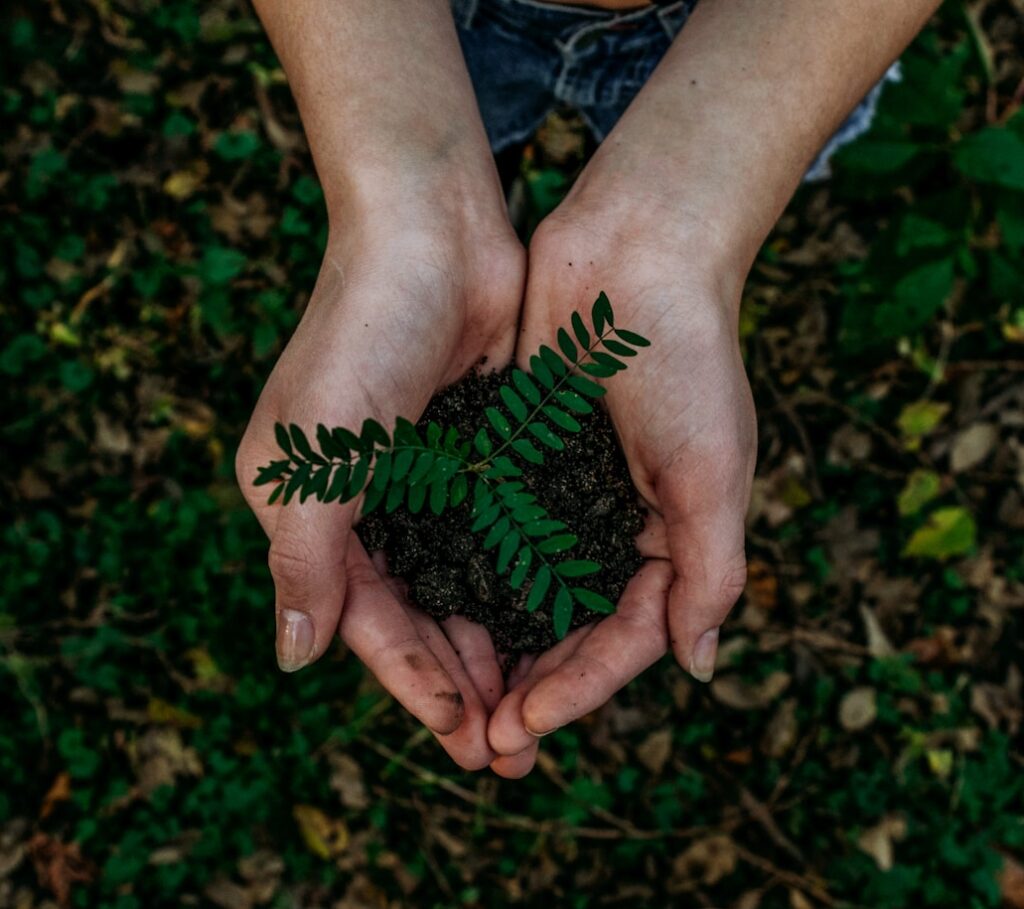 green plant